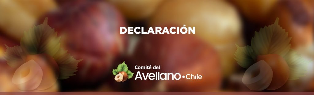 Comité de Avellanos: Unido a las familias y carabineros en su duelo