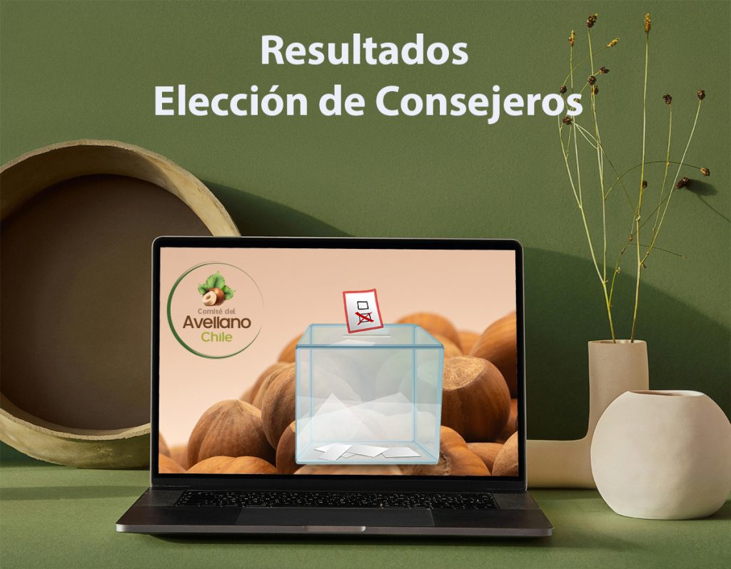 Resultado Elección de Consejeros Regionales