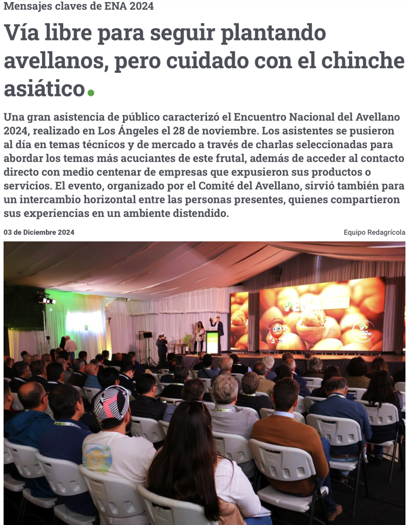 Libre expansión de los avellanos en Chile, pero atención al chinche asiático