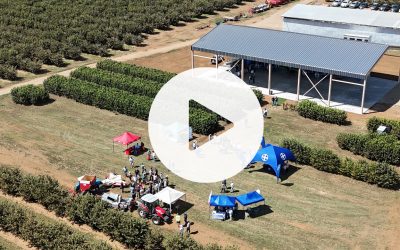 Revisa el video del Día de Campo realizado en la Región de Los Ríos