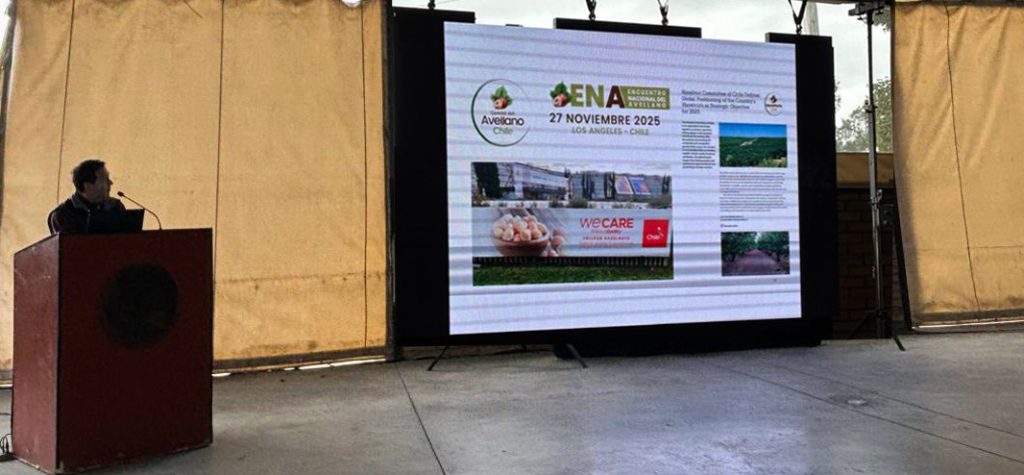 Posicionamiento de nuestra avellana en el mundo: un objetivo clave para Chile en el corto plazo