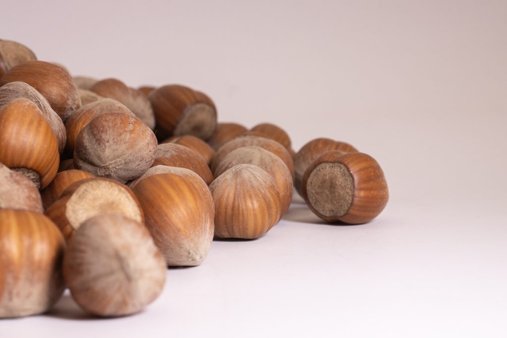 Chile expande exportaciones de avellana europea a Asia y Oceanía con más de 250 mil kilos certificados