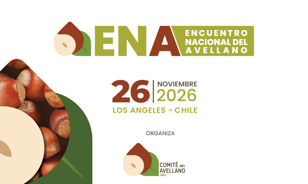 Expansión del avellano tensiona capacidad de proceso y ENA 2026 emerge como vitrina estratégica para la industria
